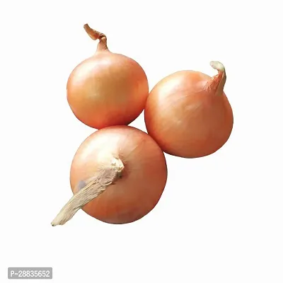 Baishnab Onion seed 1000ps seed mcOnion Seeds   Onion Orange OsD1071 1000 Seeds1000PIECE-thumb0