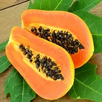 Baishnab Papaya seed 30ps mc fjPASE3030PIECE-thumb1