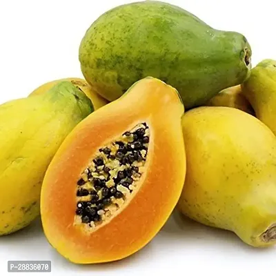 Baishnab Papaya seed 440 per packetF1 Hybrid Papaya Seeds For Planting Papatia Seeds PS638440PIECE