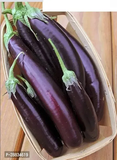 Baishnab Brinjal Seeds 250prpk jfBriNj 2311 250 Long Purple250PIECE