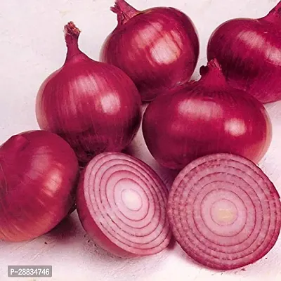 Baishnab Earth Seeds R 131ONION41100PIECE