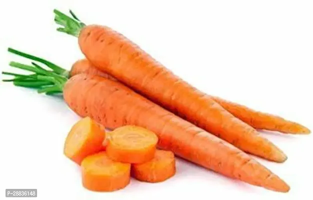 Baishnab c sedv 100ps jjHybrid  Carrot Seeds Around 100 Seeds Per Pack100PIECE-thumb3