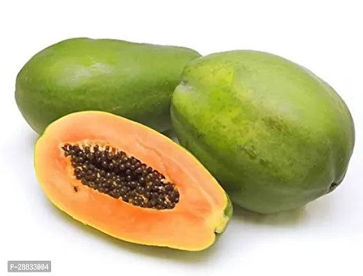 Baishnab papaya seed  200 per packet 22  rbIND PM26    PREMIUM BEST SELLER 100 percent GERMINATION PAPAYA PAPITA FRUIT SEED HYBRID 200 SEEDS.200PIECE