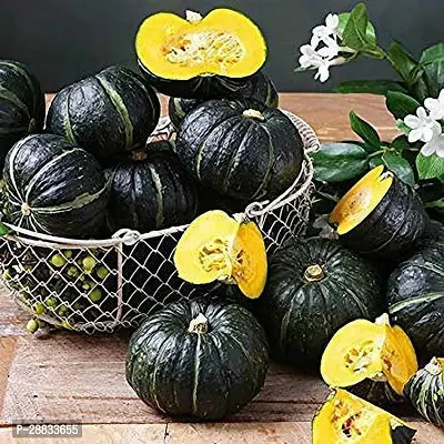 Baishnab Earth Seeds P111PUMPKIN14100PIECE