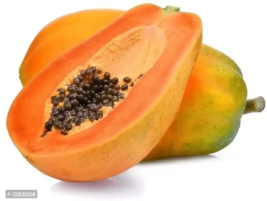 Baishnab Seed 300per packet XG452Papaya SD1764300PIECE-thumb0