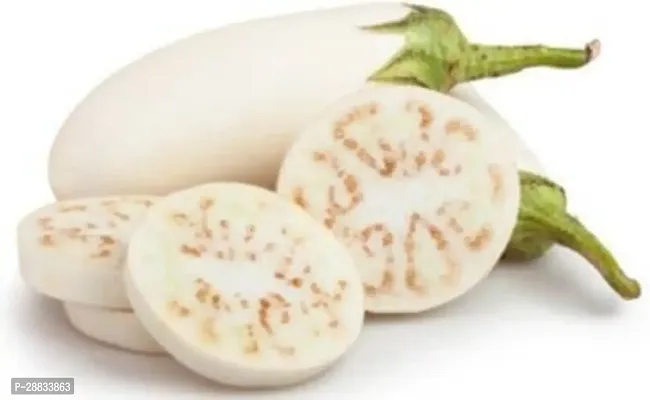 Baishnab brianjal seed  100psWhite Round Brinjal Hybrid Vegetable Seeds  WR65716PIECE-thumb2