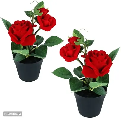 Baishnab  Red rose flower plant Rose Plant-thumb0