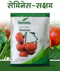 Baishnab Tomato Seed 10gm RB jfseminissakshamTomkb10gm10PIECE-thumb1