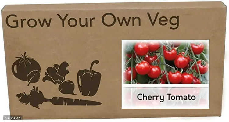 Baishnab toma to seed 250 ps ayuHeirloom Tomato Cherry Minibel Seeds250 Seeds250PIECE