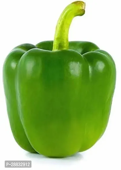 Baishnab Capsicum seed  50ps aAWM 65330PIECE