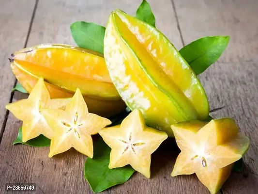 Baishnab Star Fruit Carambola Grafted Plant HXO-thumb0