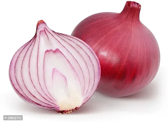 Baishnab Onion Seed 14 PsXR 207814PIECE