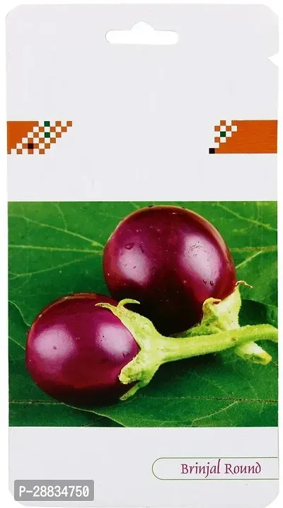 Baishnab Brinjal seed 1000 per packet gnBrinjal F1 Hybrid Round 3 in 1 Vegetable Seed1000PIECE