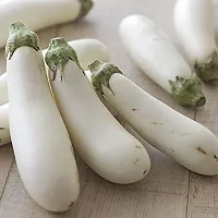 Baishnab brianja white seedM Brinjal White Long13530PIECE-thumb2