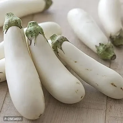 Baishnab brianja white seedM Brinjal White Long13530PIECE-thumb3