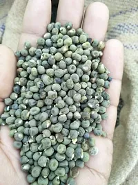 Baishnab Bhindi seed 50ps bhlady finger seeds50PIECE-thumb1