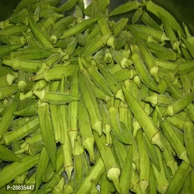 Baishnab Seed 100per packet XF339100 Green Okra 947100PIECE