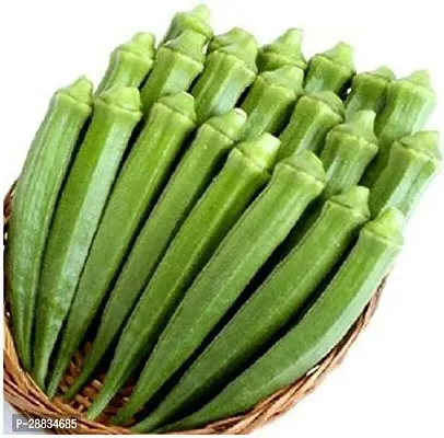 Baishnab vhindi sed 850 ps nhjOkra Seeds Ladyfinger Bhindi Vegetable Gardening Seeds For Planting OS1938850PIECE-thumb0