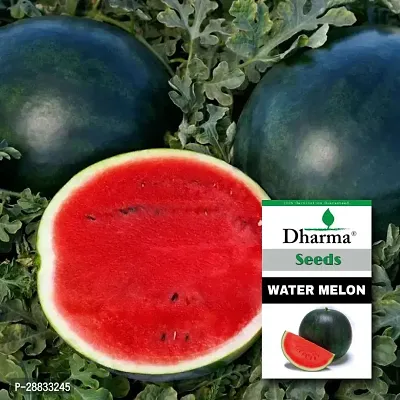 Baishnab Watermelon seed 240ps mc frjuWater Melon240PIECE-thumb0