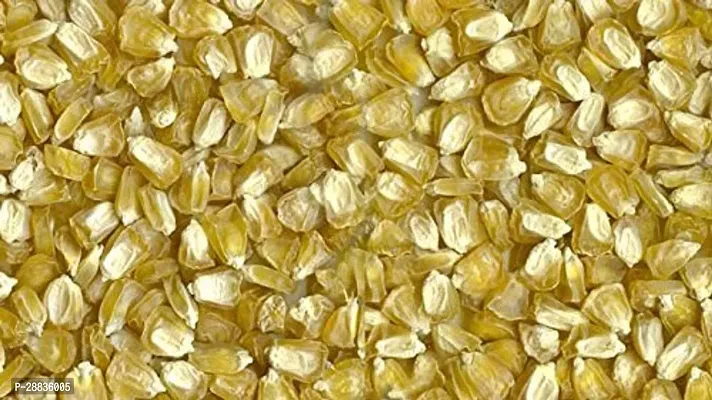 Baishnab CORN SED 10 PS FFRTCorn  Seeds  VXL 66310PIECE-thumb2