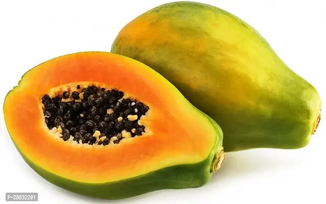 Baishnab Papaya seed  100 psPapaya Hybrid Vegetable   Dwarf Variety Plant Seeds   100 Seeds100PIECE