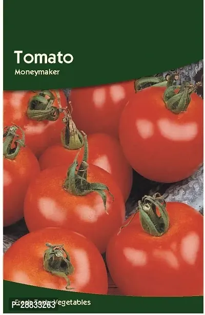 Baishnab tomato  seed 500 ps vbn Tomato Moneymaker Seeds500PIECE