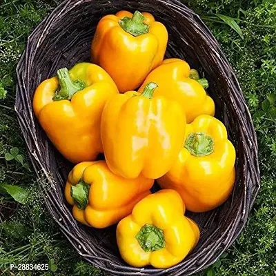 Baishnab capsicum seed lkidYellow Capsicum F2 Seeds1000PIECE-thumb0