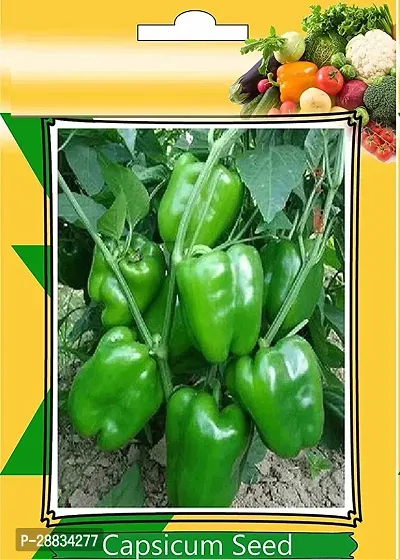 Baishnab capsicum seed klodGreen Capsicum Vegetables Seeds50PIECE-thumb0