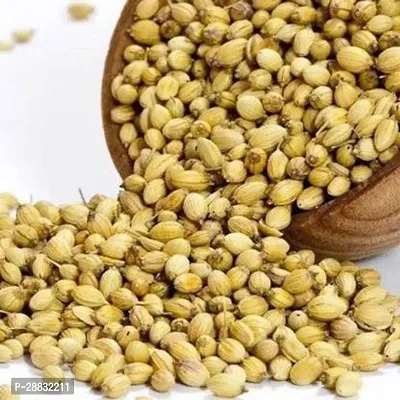 Baishnab DHANIA SEED 100 PS Dhaniya Seeds 01100PIECE-thumb3