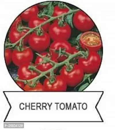 Baishnab tomato seed 250 ps njk F1 Hybrid Cherry Tomato Seeds250 Seeds250PIECE