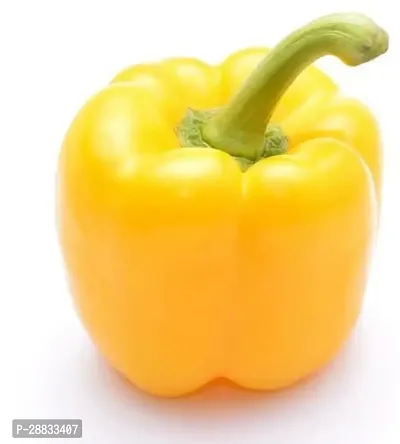 Baishnab capsicum seed abSimla Mirch Gardening Seeds Yellow Capsicum Sweet Bell Pepper200PIECE