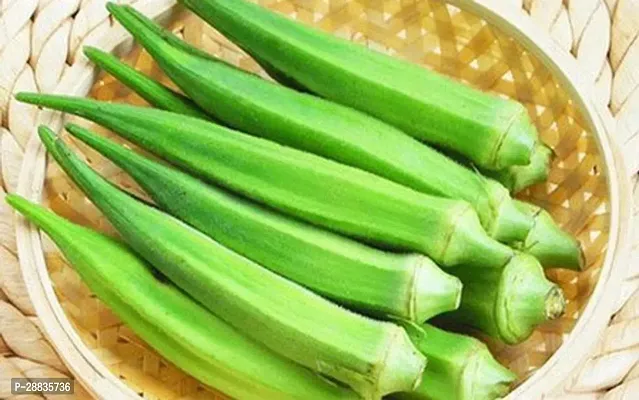 Baishnab Seed 250per packet XF317250 Green Okra 2008250PIECE