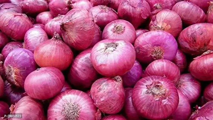 Baishnab Earth Seeds R 103ONION38100PIECE