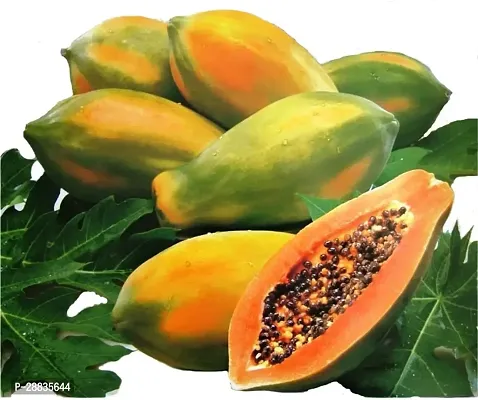 Baishnab Seed 30per packet XG433Papaya SD29230PIECE-thumb0