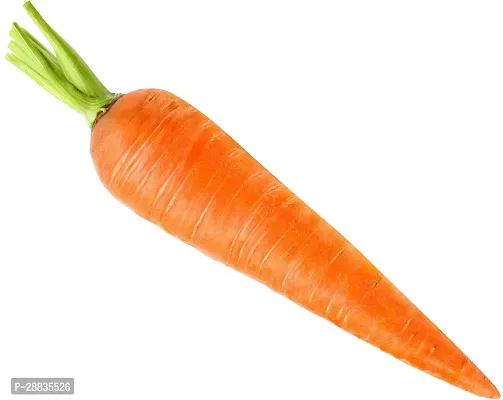 Baishnab Carrot 60ps seed mc98962566660PIECE