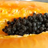 Baishnab papaya seeds n20psPapaya seeds20PIECE-thumb2