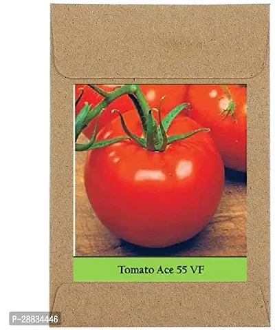 Baishnab tomato seed 250 ps gghj Guarenteed Germination Tomato Ace Seeds250 Seeds250PIECE-thumb0