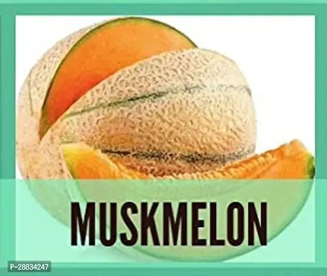 Baishnab Pumkin seed 125 per packet Organic Muskmelon Seeds125 Seeds125PIECE