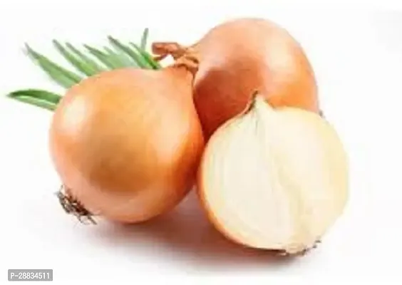 Baishnab ONION SED PP 55PSCFD34 DF35655PIECE