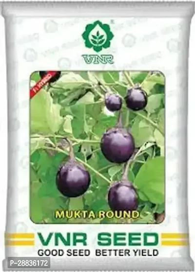 Baishnab Brinjal seeds 10 gm per packetF711PIECE-thumb0