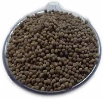 Baishnab Bhindi seed ss 100psOKRA   ARKA ANAMIKA OKRA BHINDI LADY FINGER SEEDS   100SEEDS Seed  100 per packet100PIECE-thumb3