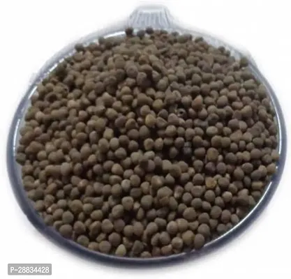 Baishnab Bhindi seed ss 100psOKRA   ARKA ANAMIKA OKRA BHINDI LADY FINGER SEEDS   100SEEDS Seed  100 per packet100PIECE-thumb4