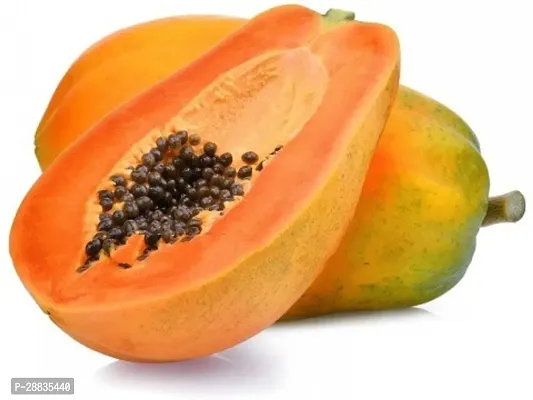 Baishnab Seed 20per packetXpl128Papaya SD14620PIECE-thumb0