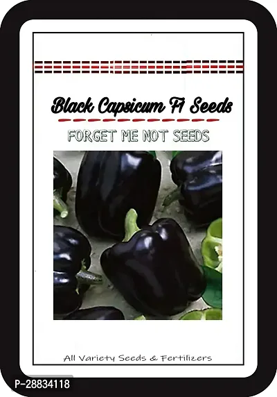 Baishnab capsicum seed ffgyBlack Capsicum Pepper Seeds High Quality Hybrid Variety50PIECE