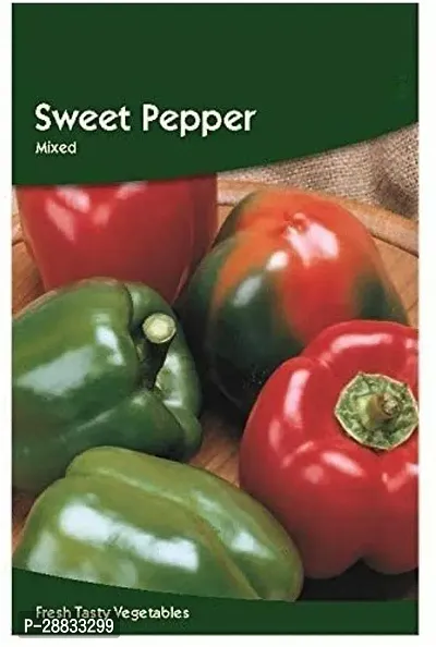 Baishnab capsicum seed ddjklCapsicum Sweet Bell Pepper Mixed Seeds1000PIECE