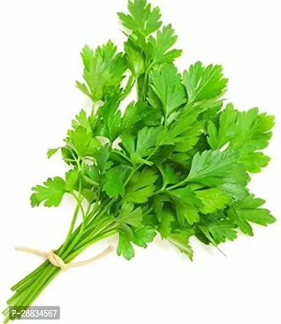 Baishnab Earth Seeds P154Coriander121000PIECE-thumb0