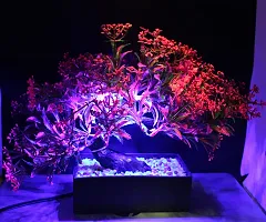 My Sphere Elegant Artificial Bonsai Tree with LED Light and Wooden Pot for Home D?cor, Table, Wall, Office, Living Room (Bonsai Tree A3)-thumb2