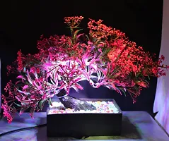 My Sphere Elegant Artificial Bonsai Tree with LED Light and Wooden Pot for Home D?cor, Table, Wall, Office, Living Room (Bonsai Tree A3)-thumb3