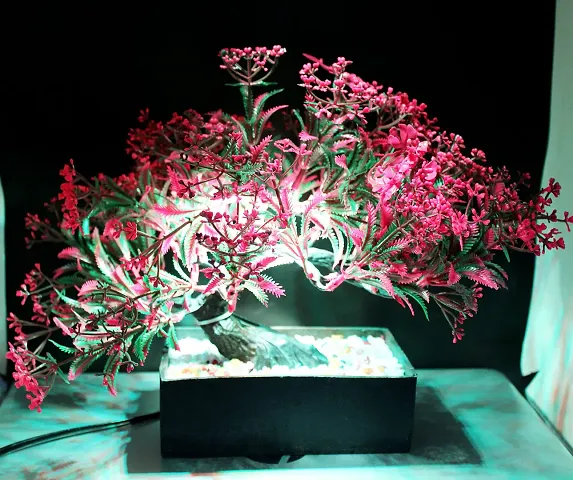 My Sphere Elegant Artificial Bonsai Tree with LED Light and Wooden Pot for Home D?cor, Table, Wall, Office, Living Room (Bonsai Tree A3)