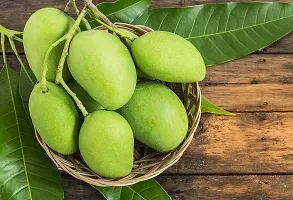 Ukanda Mango Plant RawSweet MangoKacha Mithe-thumb2